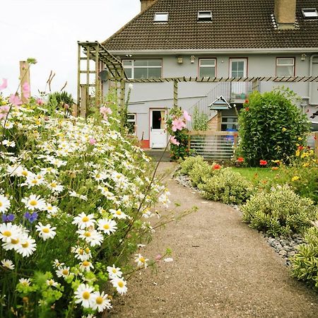 Bed and Breakfast Eagle Heights Enniscrone Exterior foto