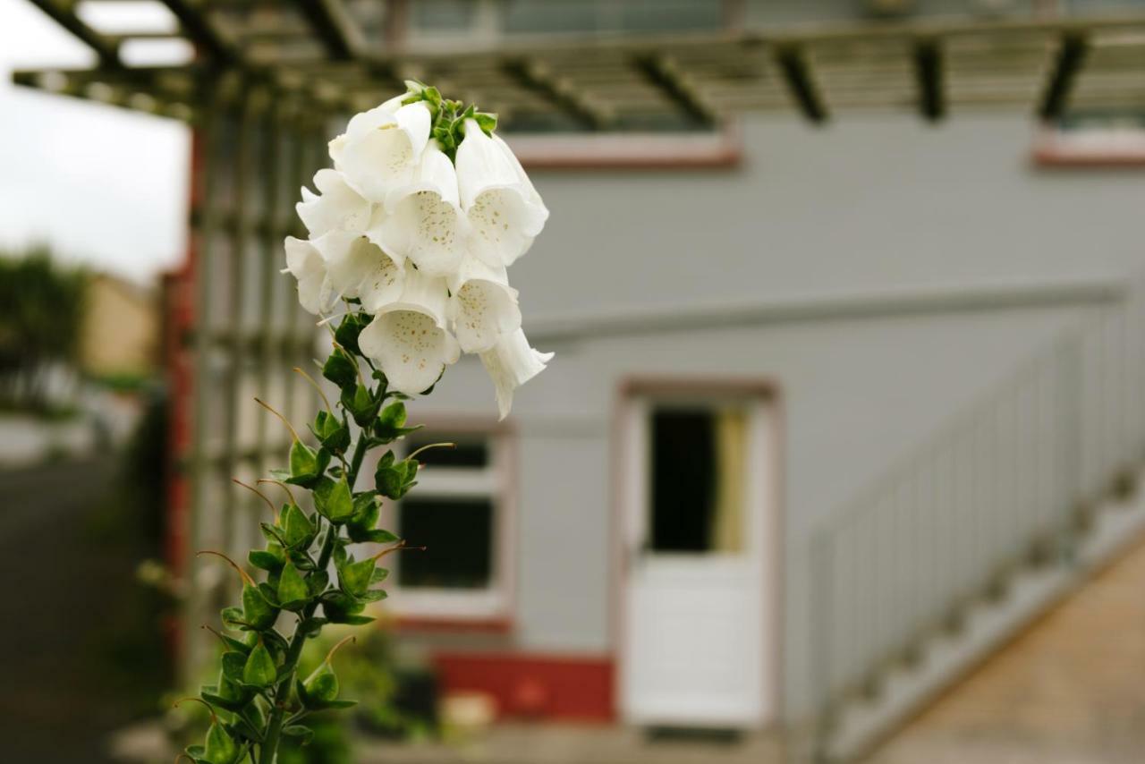 Bed and Breakfast Eagle Heights Enniscrone Exterior foto